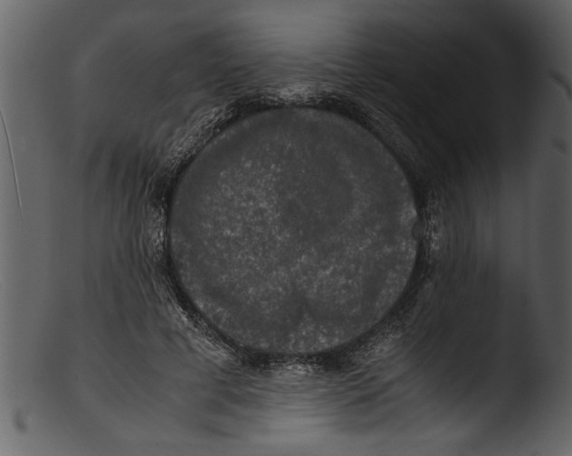 X0000103310593200809261339