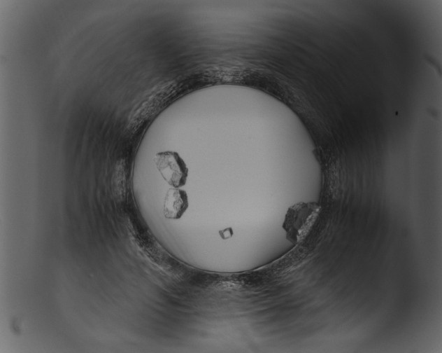 X0000103310594200809261339