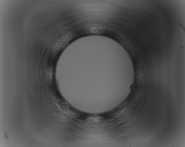 X0000103310595200809261339