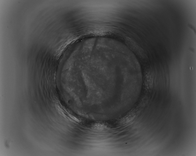 X0000103310596200809261339