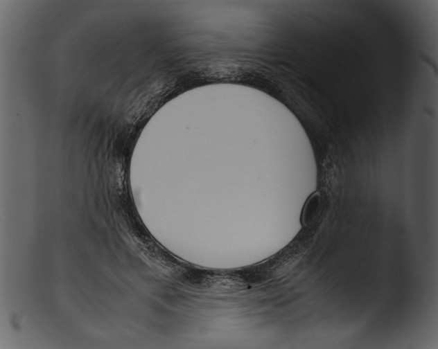 X0000103310597200809261339