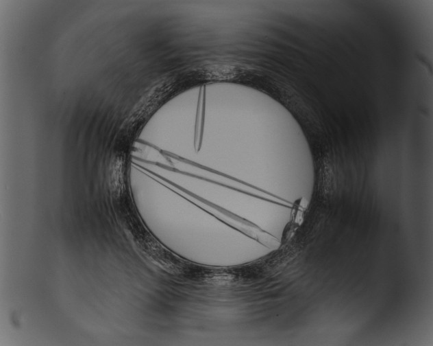 X0000103310598200809261339