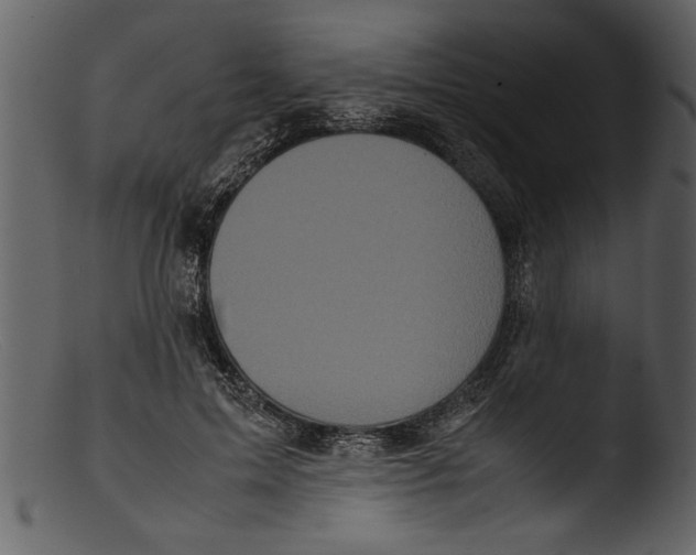 X0000103310599200809261339