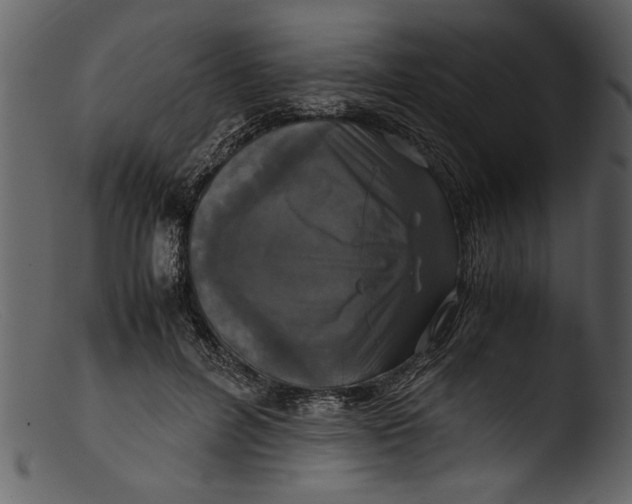 X0000103310600200809261338