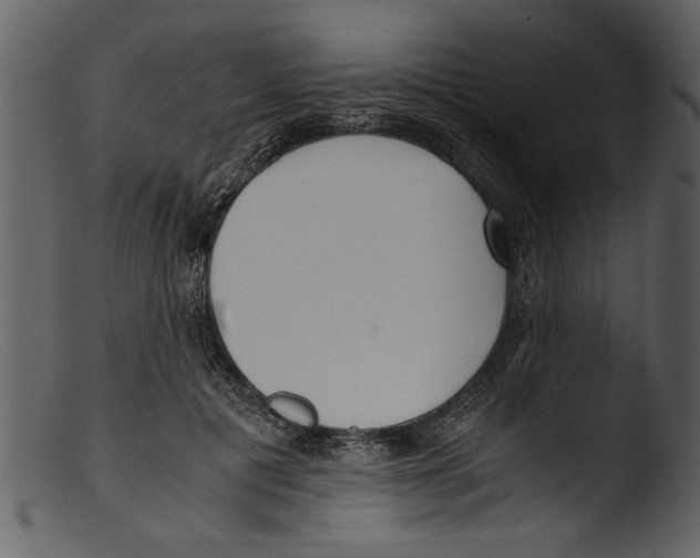 X0000103310601200809261338