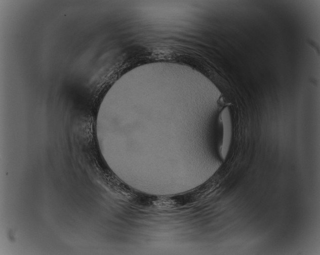 X0000103310603200809261338