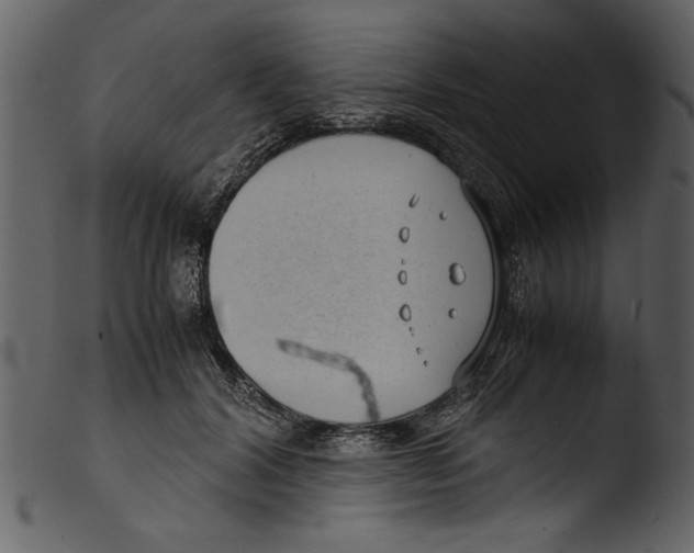 X0000103310604200809261338