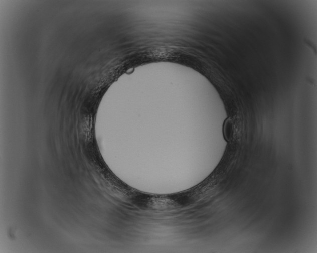 X0000103310605200809261338