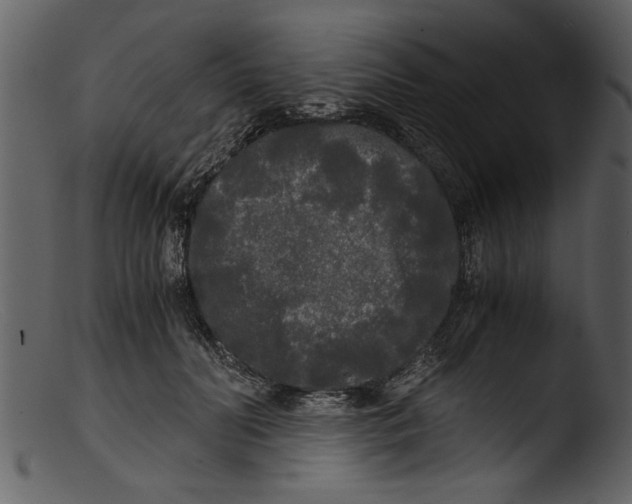 X0000103310606200809261338