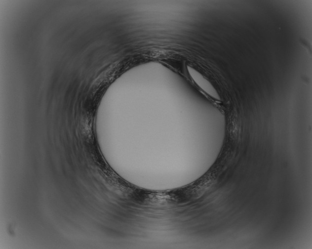 X0000103310607200809261338