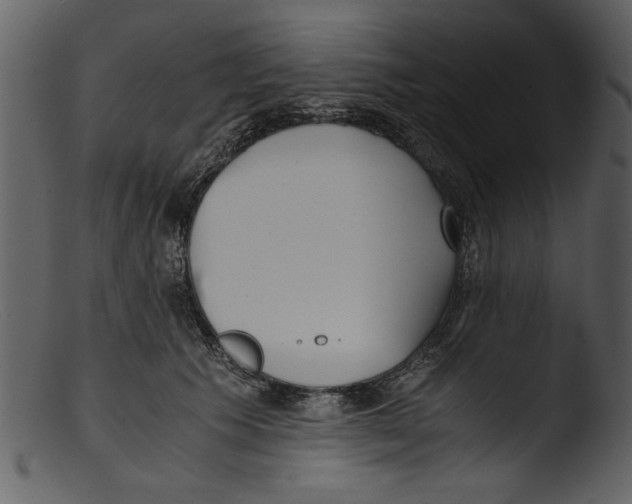 X0000103310609200809261338