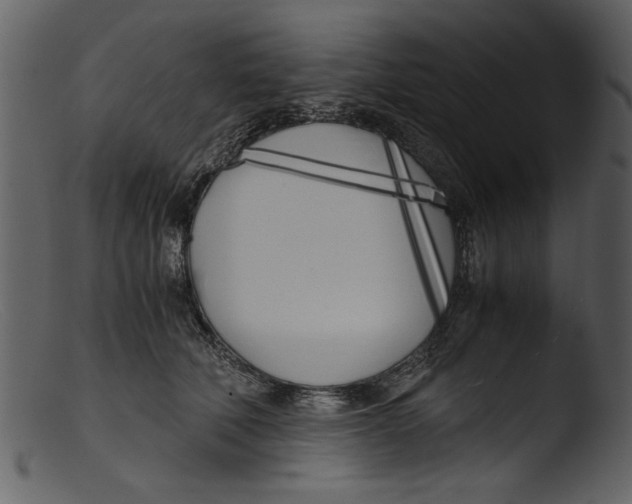 X0000103310610200809261338