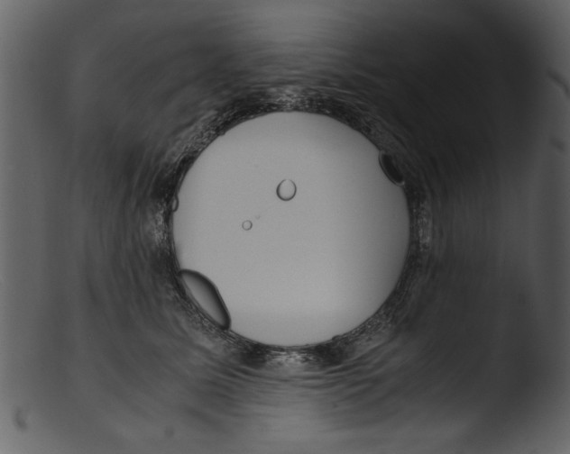 X0000103310611200809261338