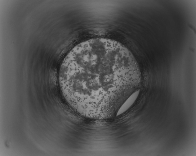 X0000103310612200809261338