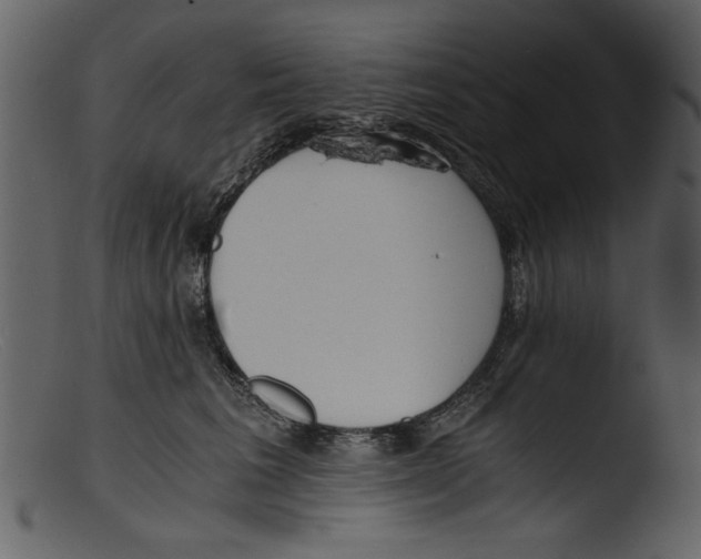 X0000103310613200809261338