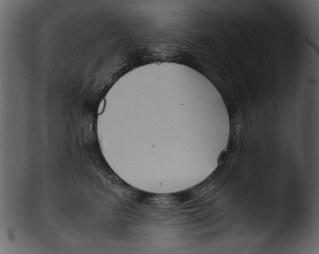 X0000103310615200809261338