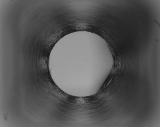 X0000103310616200809261338