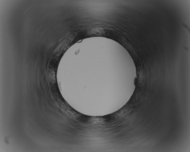 X0000103310617200809261338