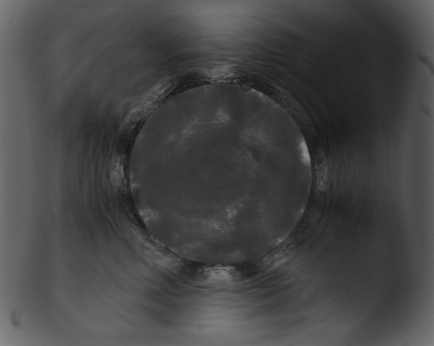 X0000103310618200809261338