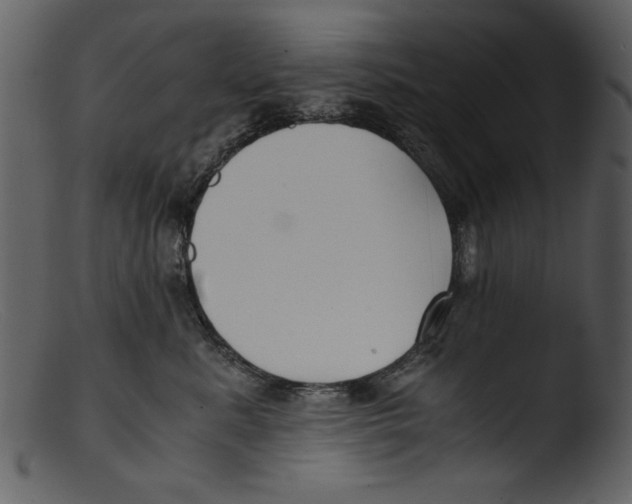 X0000103310619200809261338