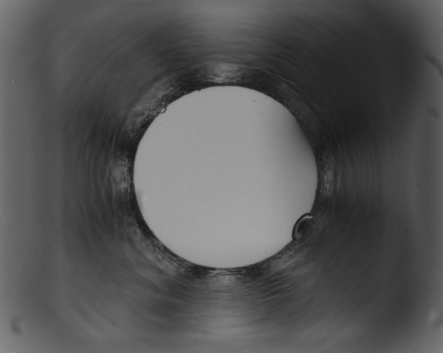 X0000103310620200809261338