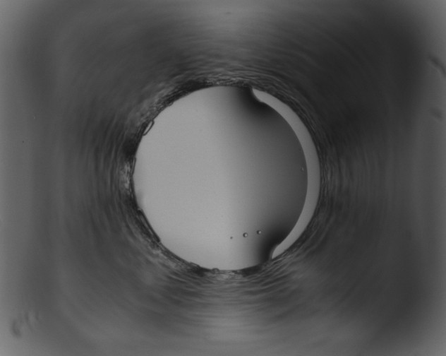 X0000103310621200809261338