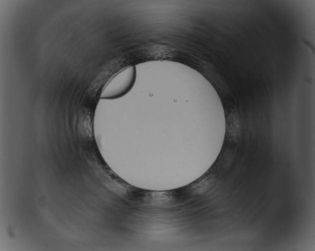 X0000103310622200809261338