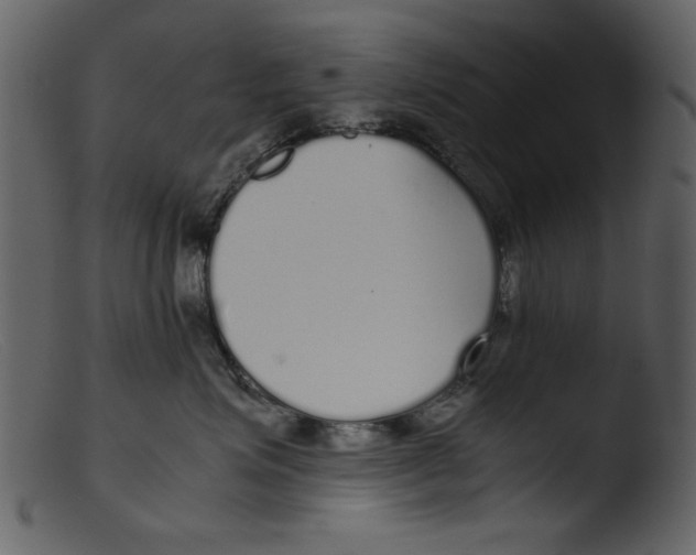 X0000103310623200809261338