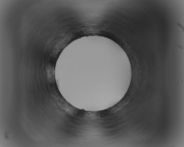 X0000103310624200809261338