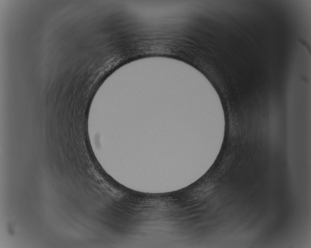 X0000103310625200809261337