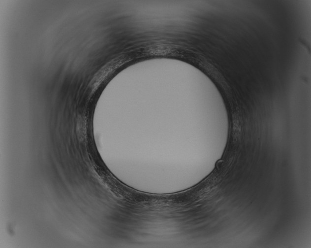 X0000103310626200809261337