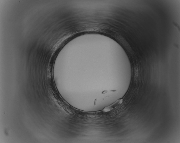 X0000103310628200809261337