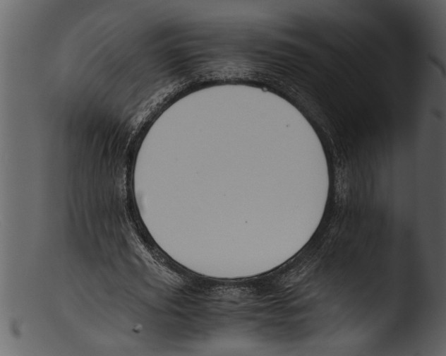 X0000103310629200809261337