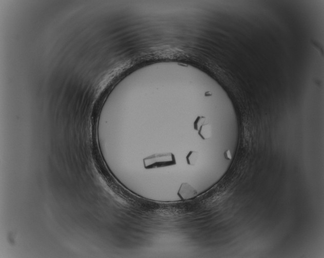X0000103310630200809261337