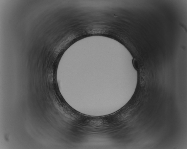 X0000103310631200809261337