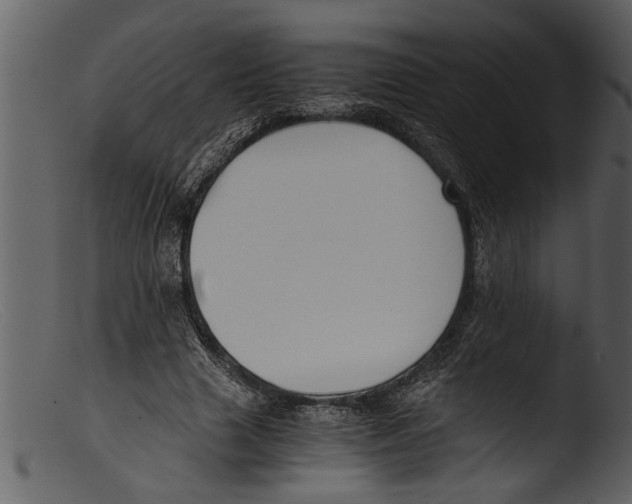 X0000103310633200809261337