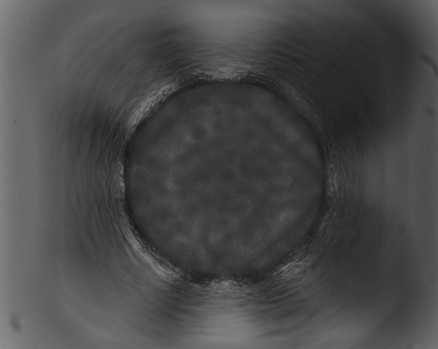 X0000103310634200809261338