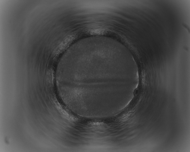 X0000103310637200809261338