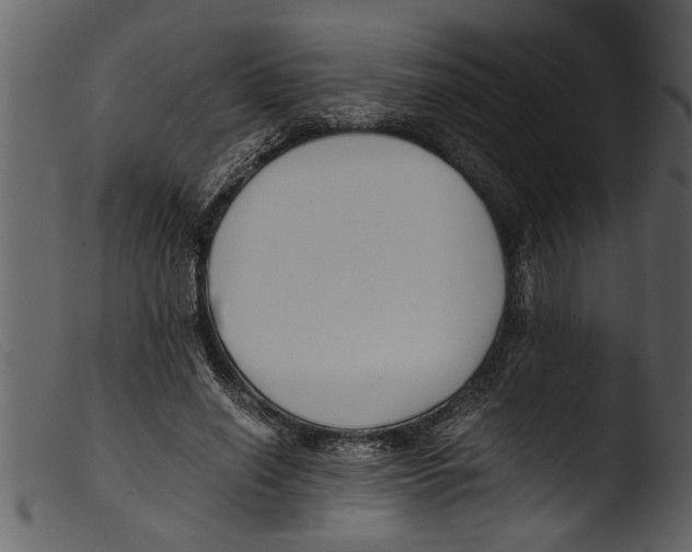 X0000103310638200809261338