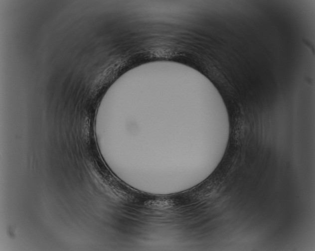 X0000103310639200809261338