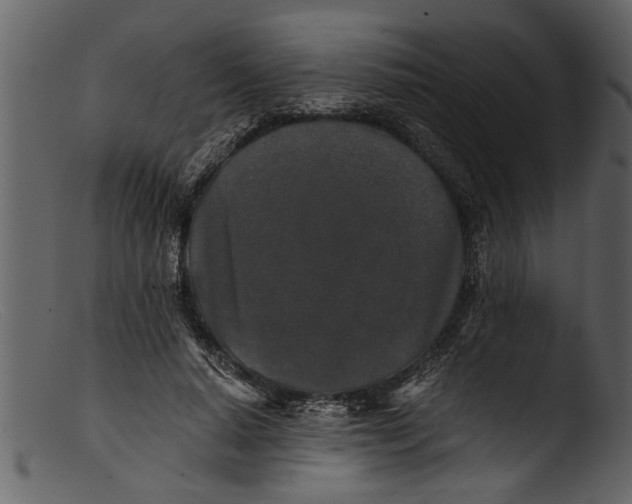 X0000103310640200809261338