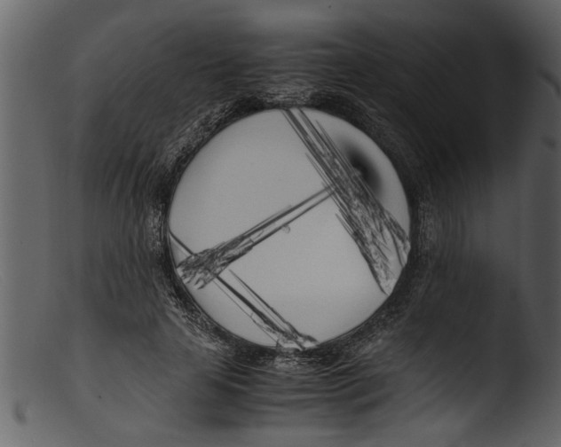 X0000103310641200809261338
