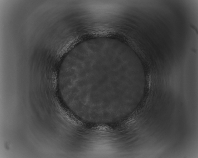 X0000103310642200809261338