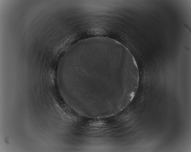 X0000103310643200809261338