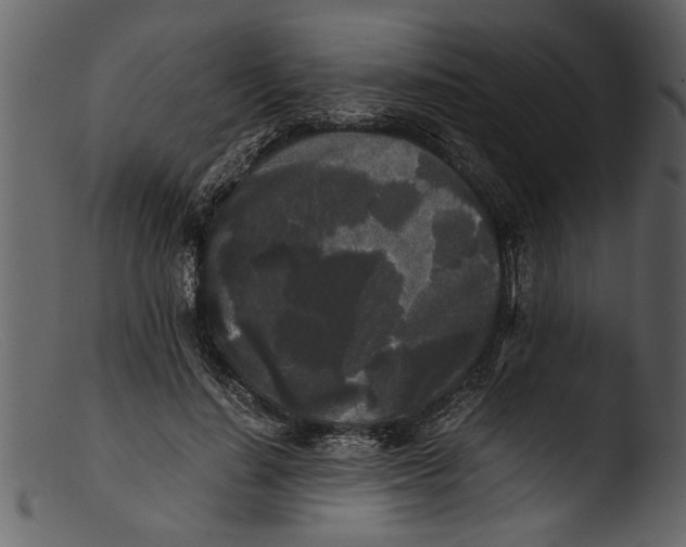 X0000103310644200809261338