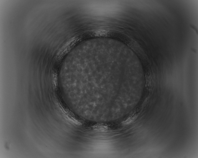 X0000103310648200809261338