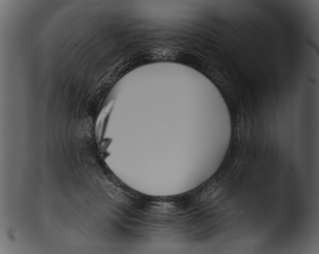 X0000103310649200809261338