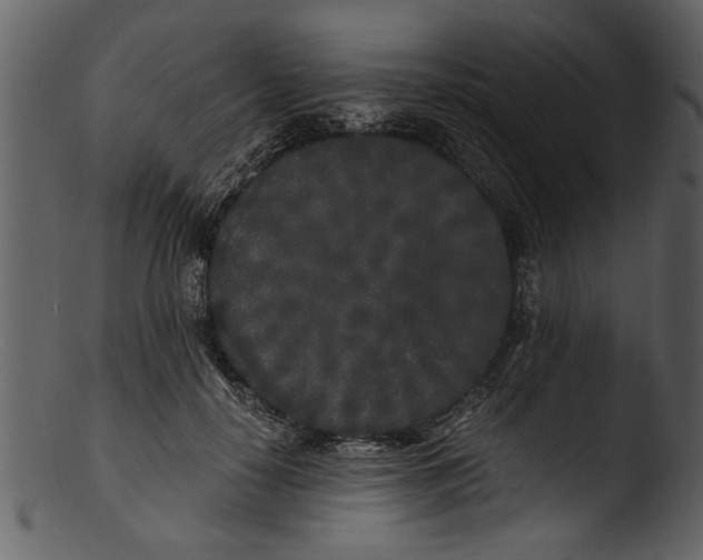 X0000103310650200809261338