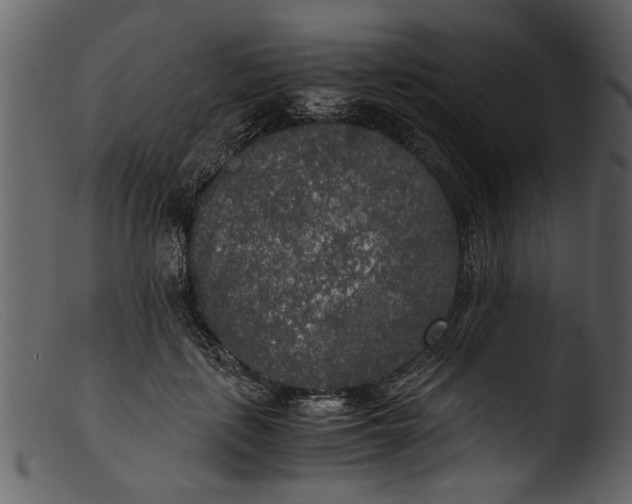 X0000103310651200809261338