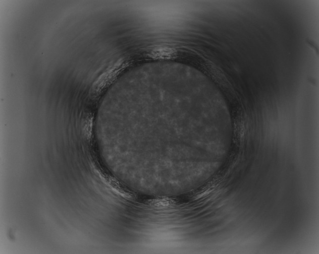 X0000103310652200809261338